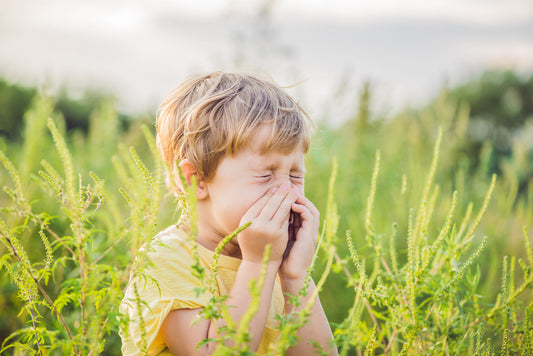 Hay Fever & Propolis