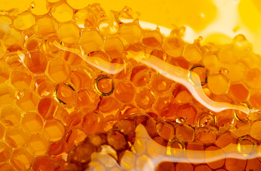 Golden Elixir: Honey for Winter Immune Support