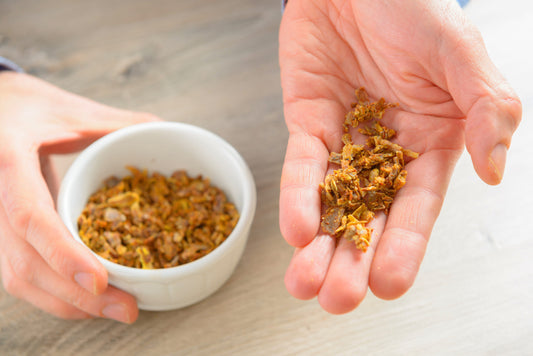 Is Propolis a Medicine?