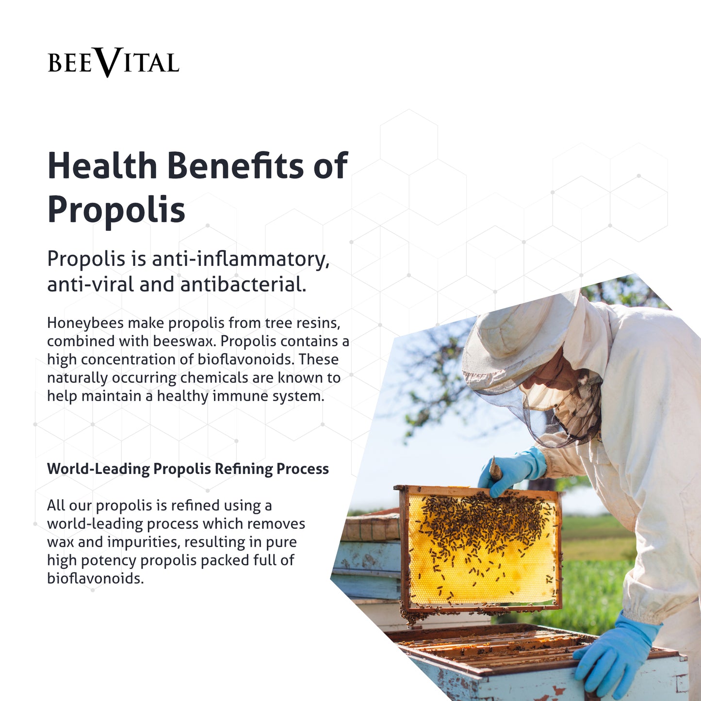 Propolis Syrup with Elderberry & Honey