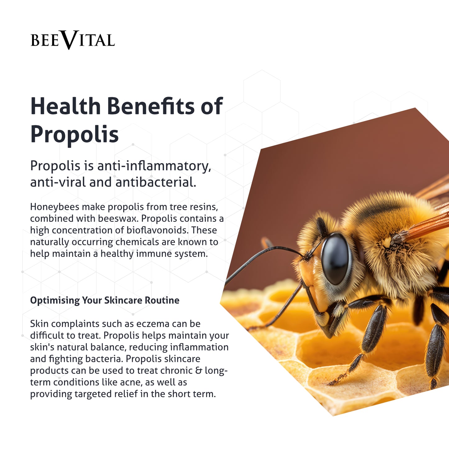 Propolis Serum