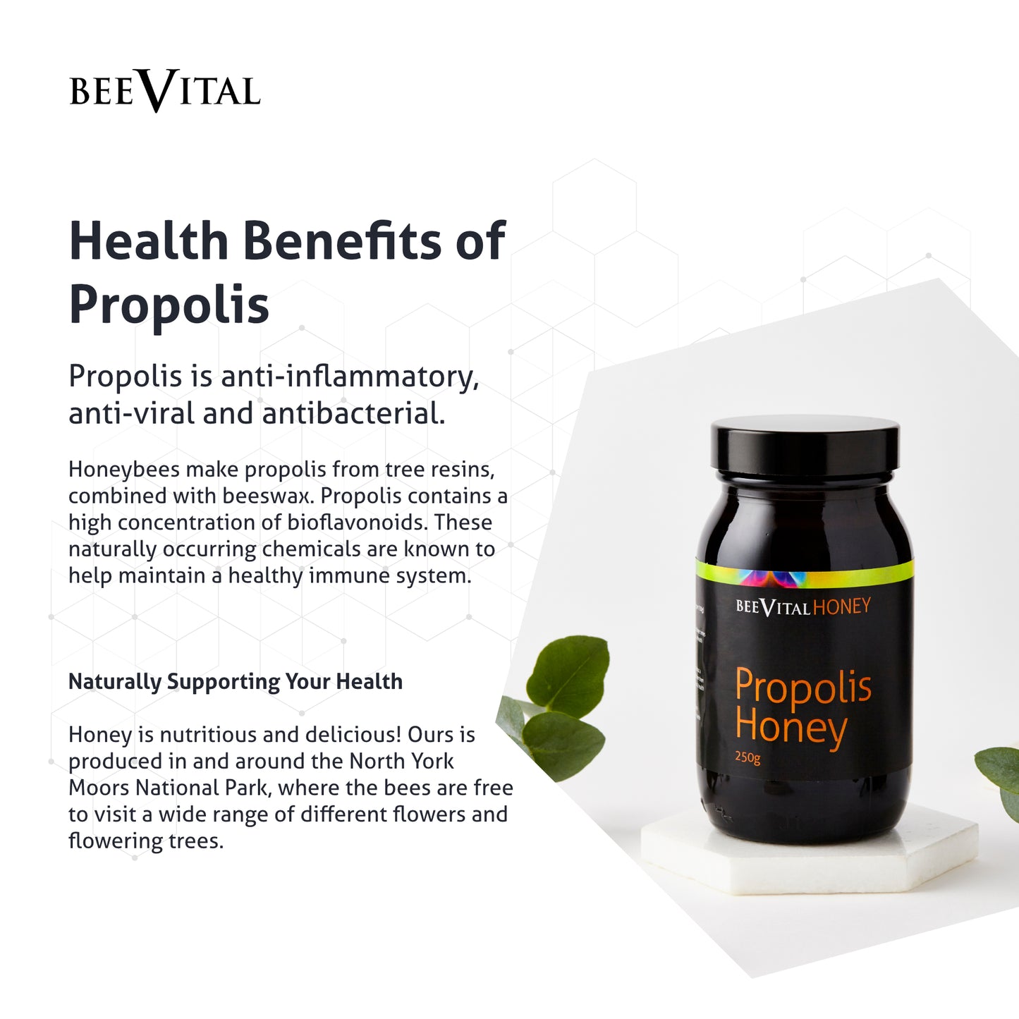 Propolis Honey